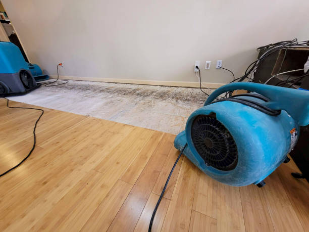 Professional Burst Pipe Water Damage technician working in Paint Rock, AL